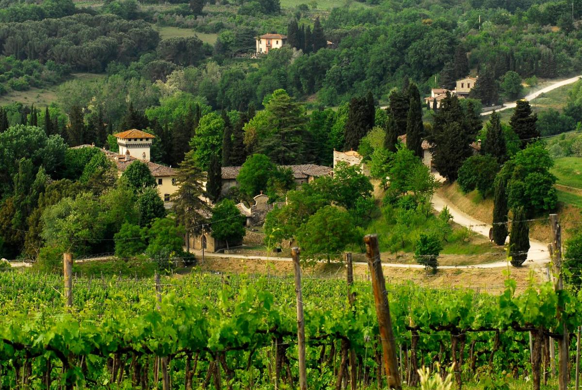 Foto Fattoria Di Calcinaia