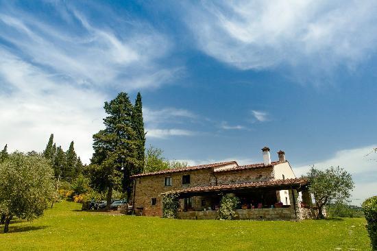 Pictures Fattoria Castello Del Trebbio