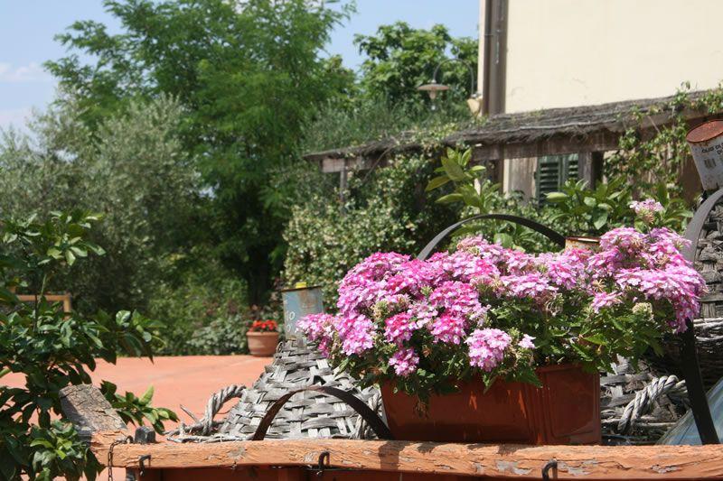 Foto Albergo Locanda Le Boscarecce