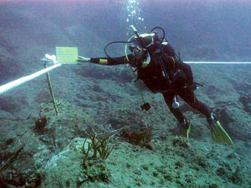 Foto Percorso Subacqueo Parco Nazionale delle Cinque Terre