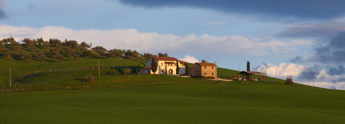 Foto Poggio Tobruk