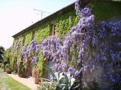 Pictures FarmHouse Podere La Leccia