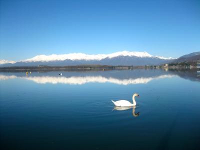 Foto Lago di Viverone