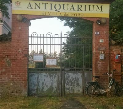 Foto Antiquarium Forum Fulvii