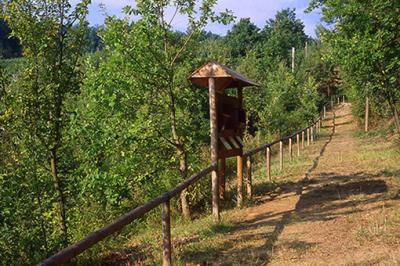 Foto Parco di Rocchetta Tanaro